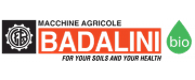 logo-badalini